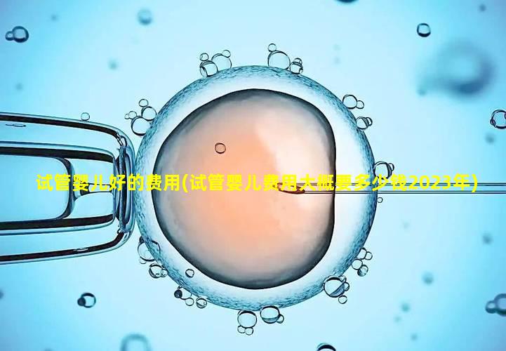 试管婴儿好的费用(试管婴儿费用大概要多少钱2023年)